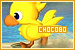  FF - Chocobos